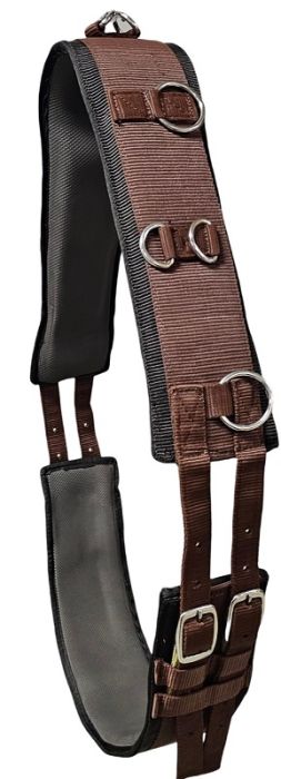 Brown nylon and neoprene harness with metal buckles on a white background