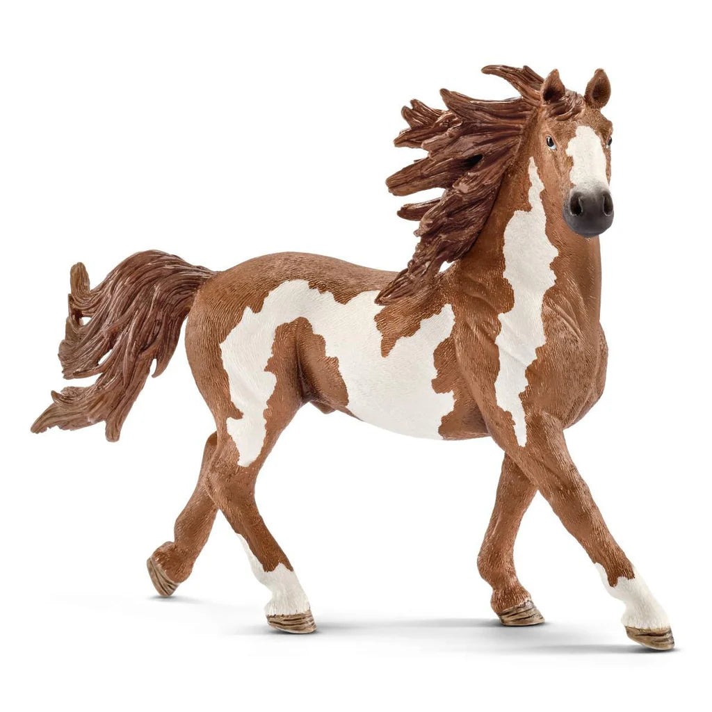 Schleich model brown and white horse on a white background
