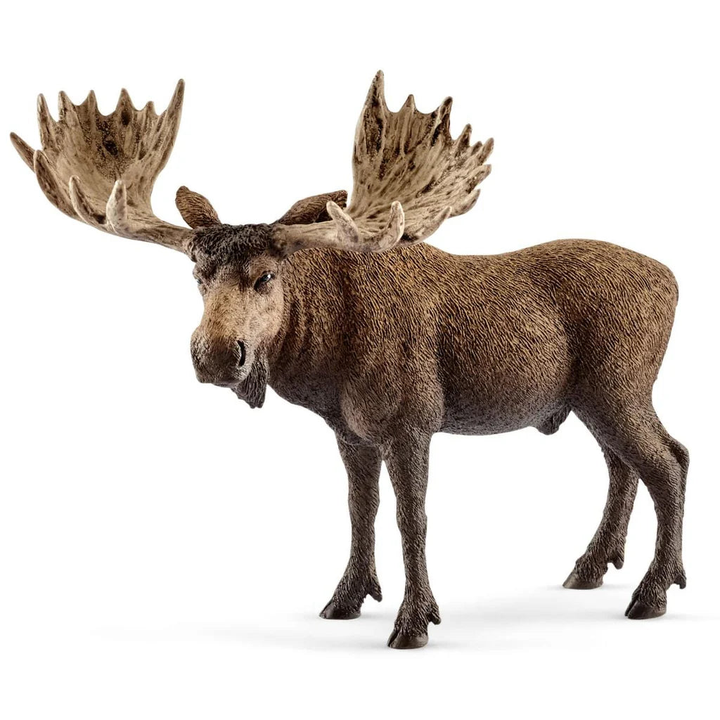 Schleich Moose Bull figurine on a white background