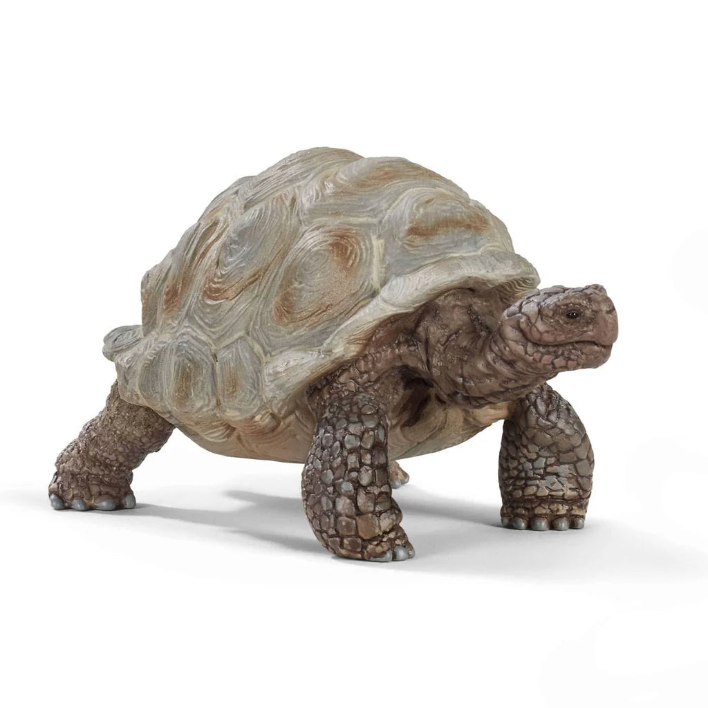 Giant Tortoise Figurine by Schleich®