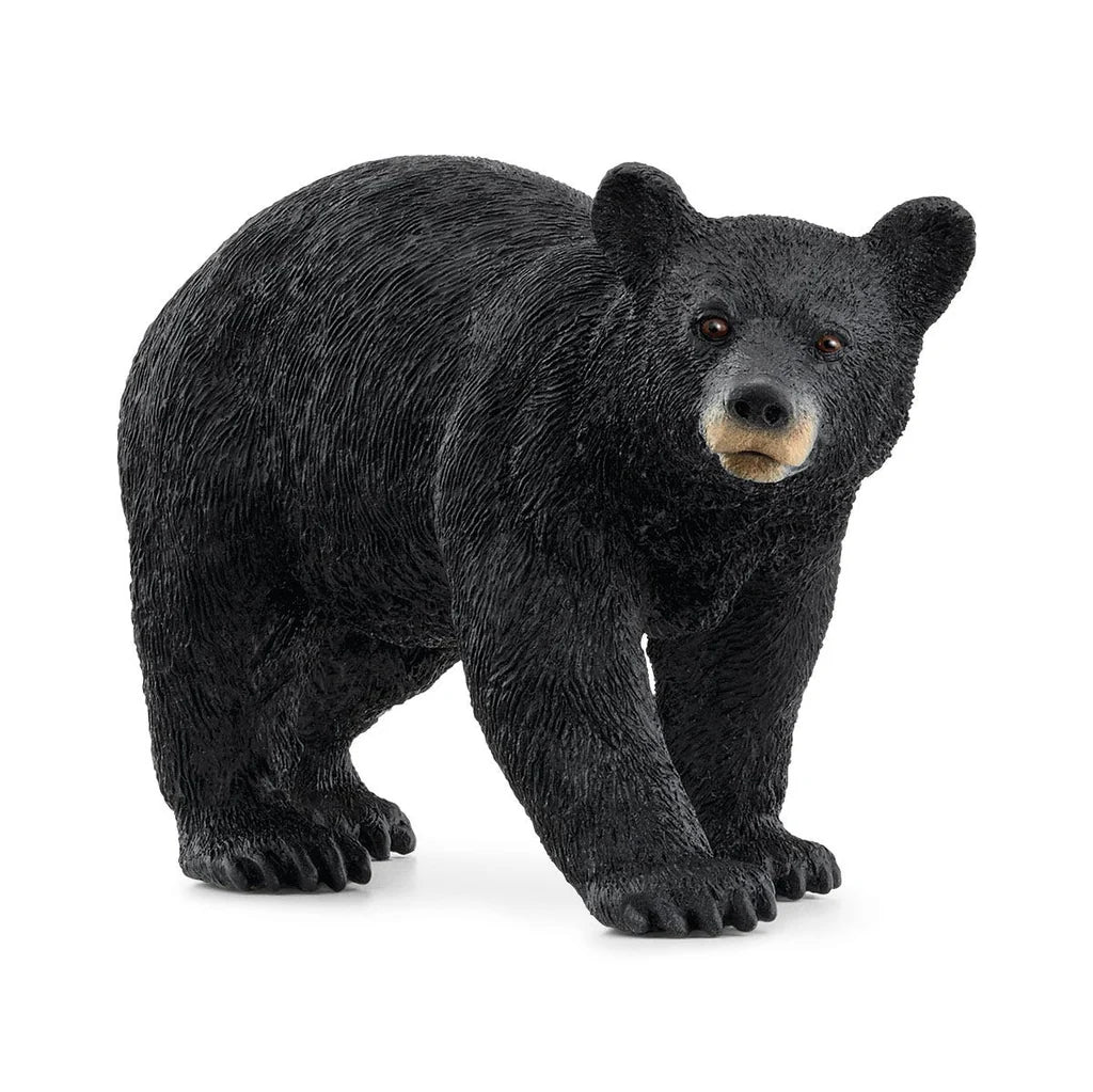 Schleich black bear figurine on a white background