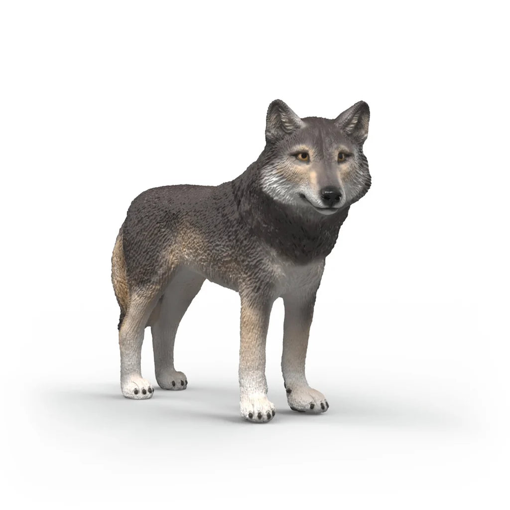 Gray wolf Schleich figurine on a white background