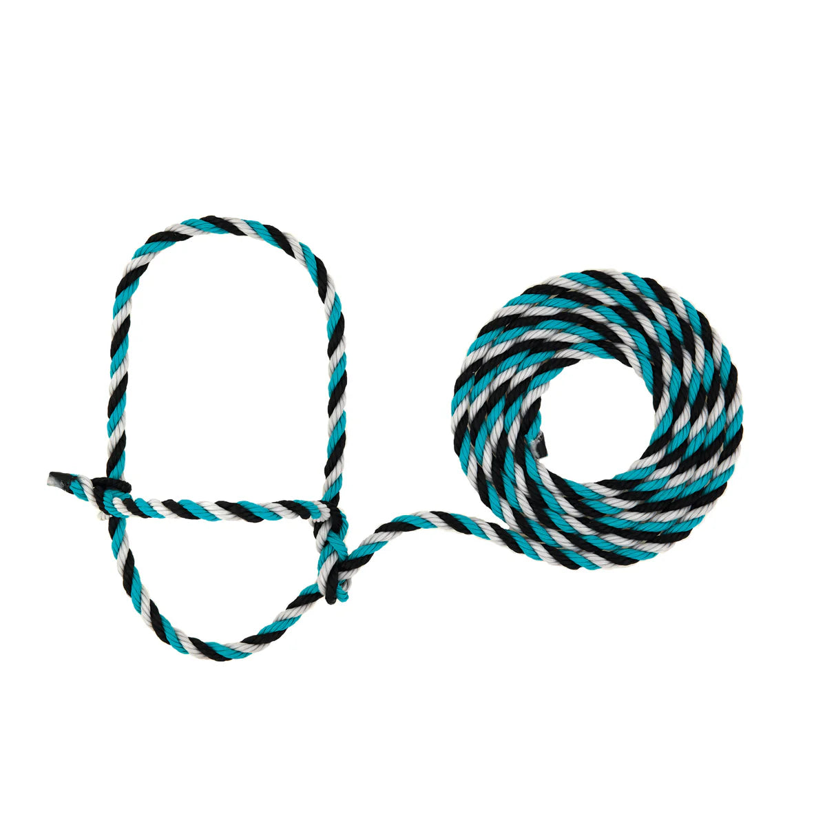 teal, black and grey rope halter with a loop for cattle on a white background