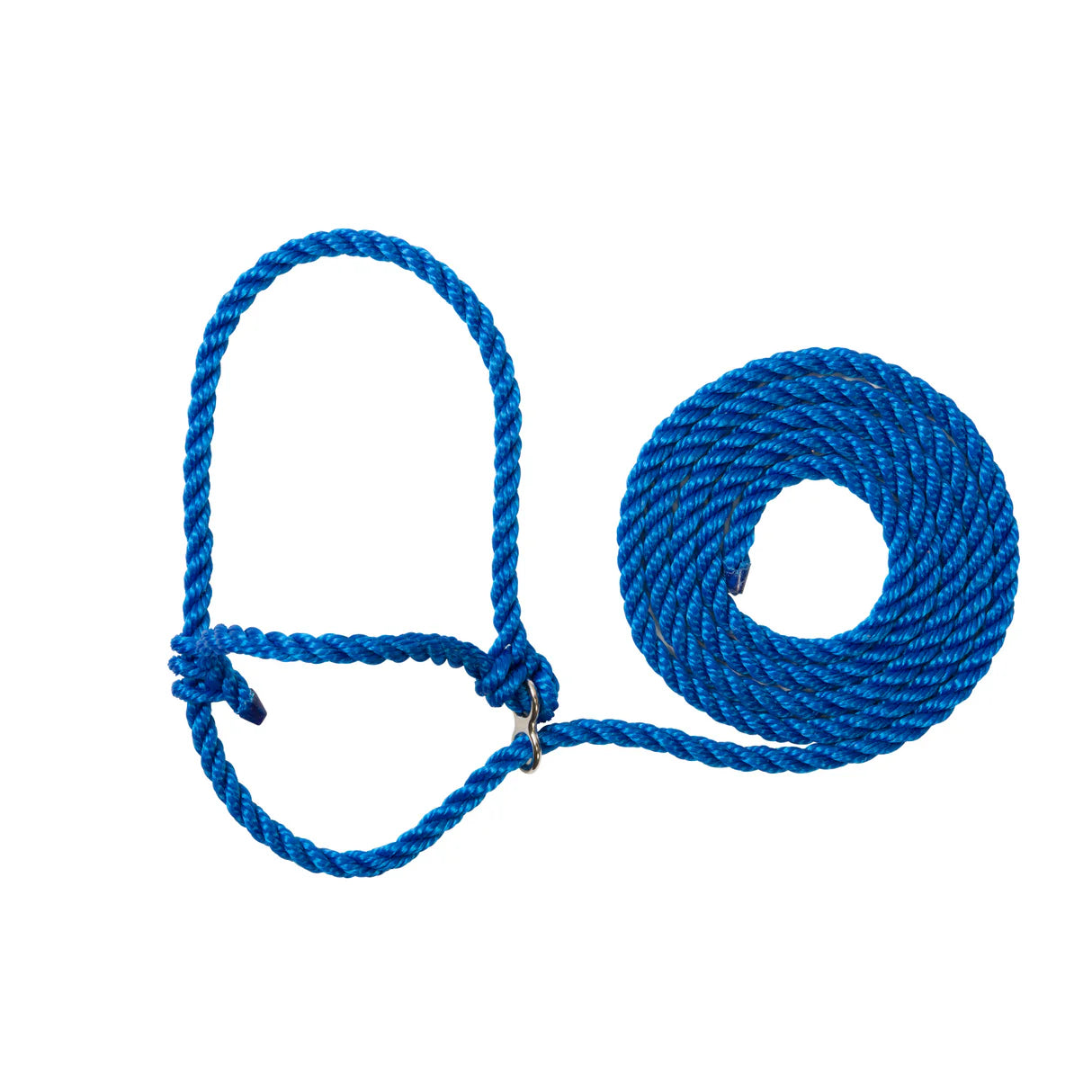 Blue rope halter for cattle with a metal loop on a white background