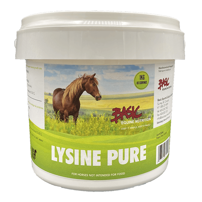 a container of lysine pure by basic equine nutirition with a horse in a field on the label