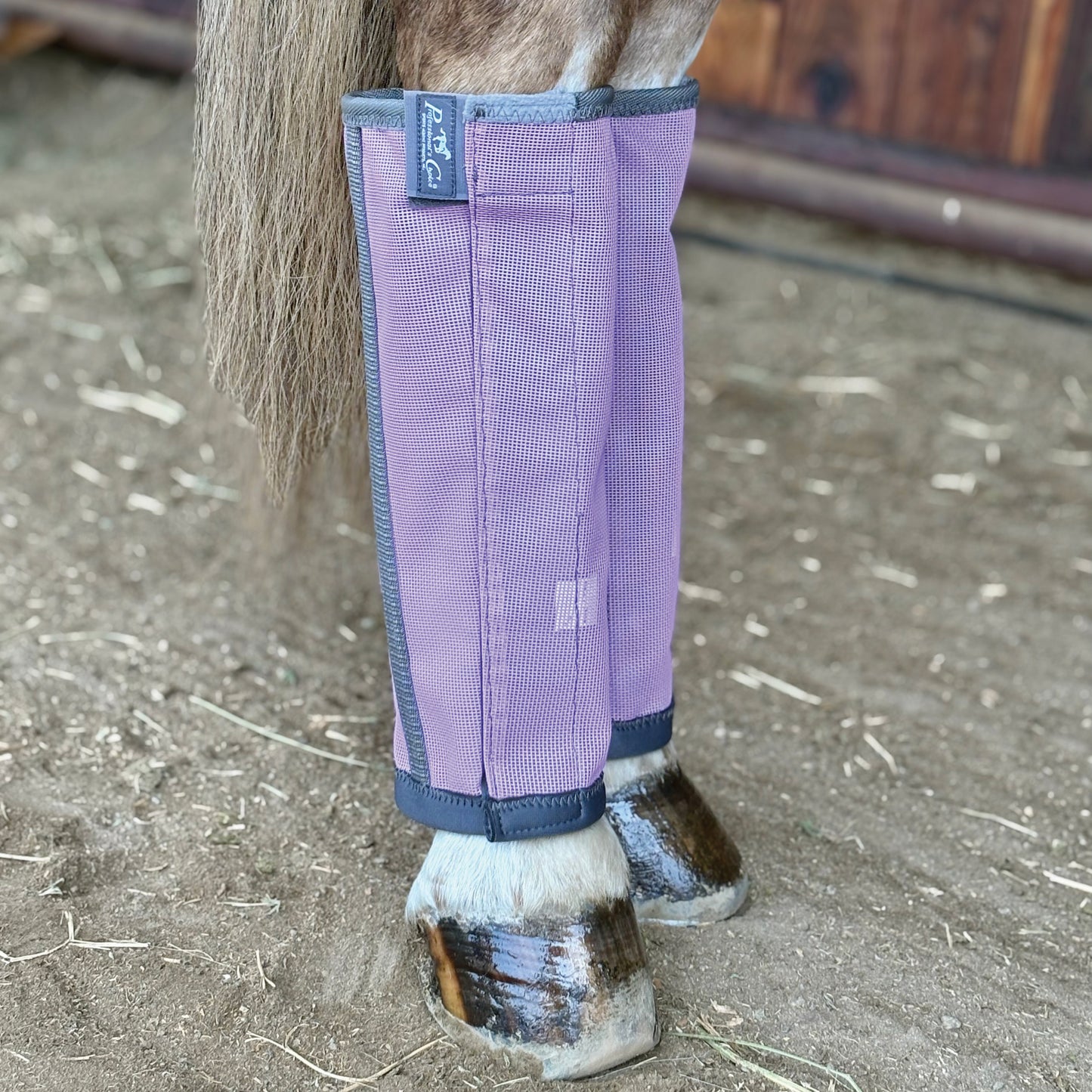 Horse leg with purple protective leg wraps on a stable floor.