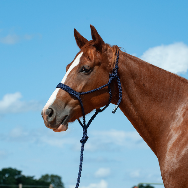 Mule Tape Halter & Lead by Cashel®