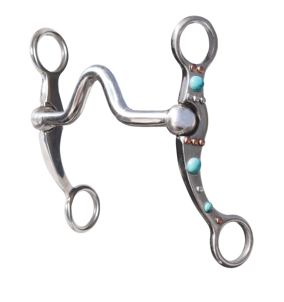 Professional's Choice bit with turquoise stones on a white background
