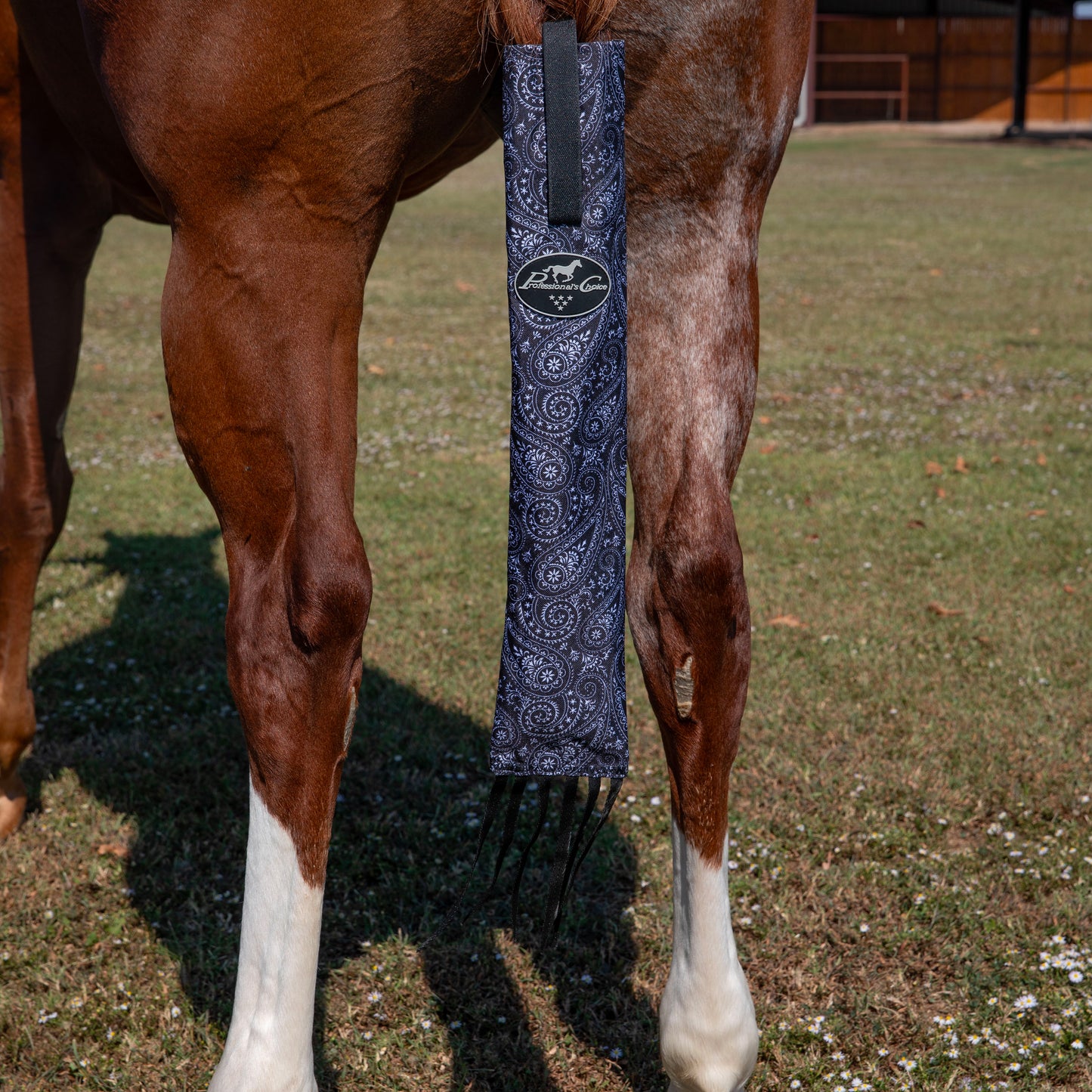 horse with Professional's Choice tail bag on
