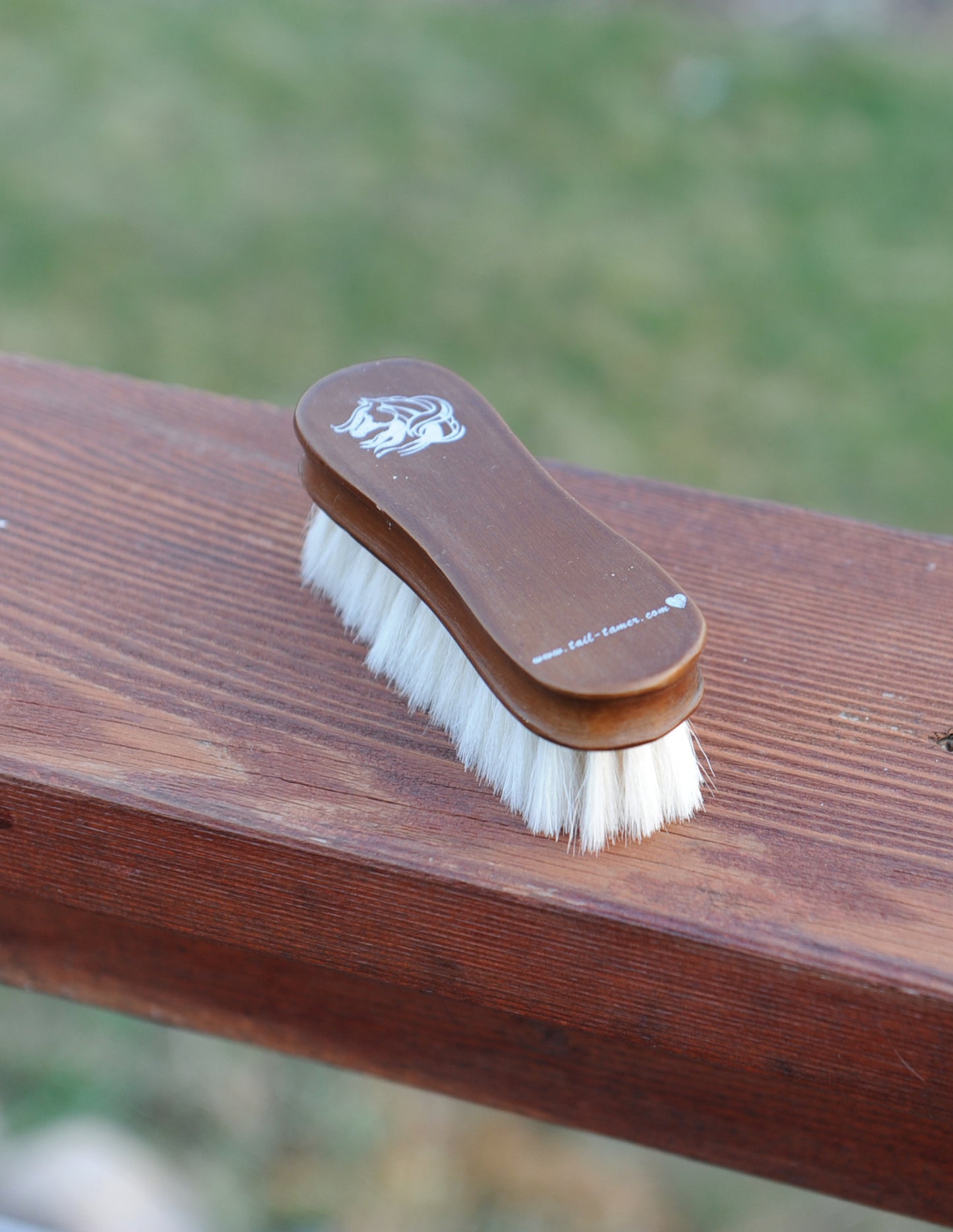 brush by professional choice with wooden handle