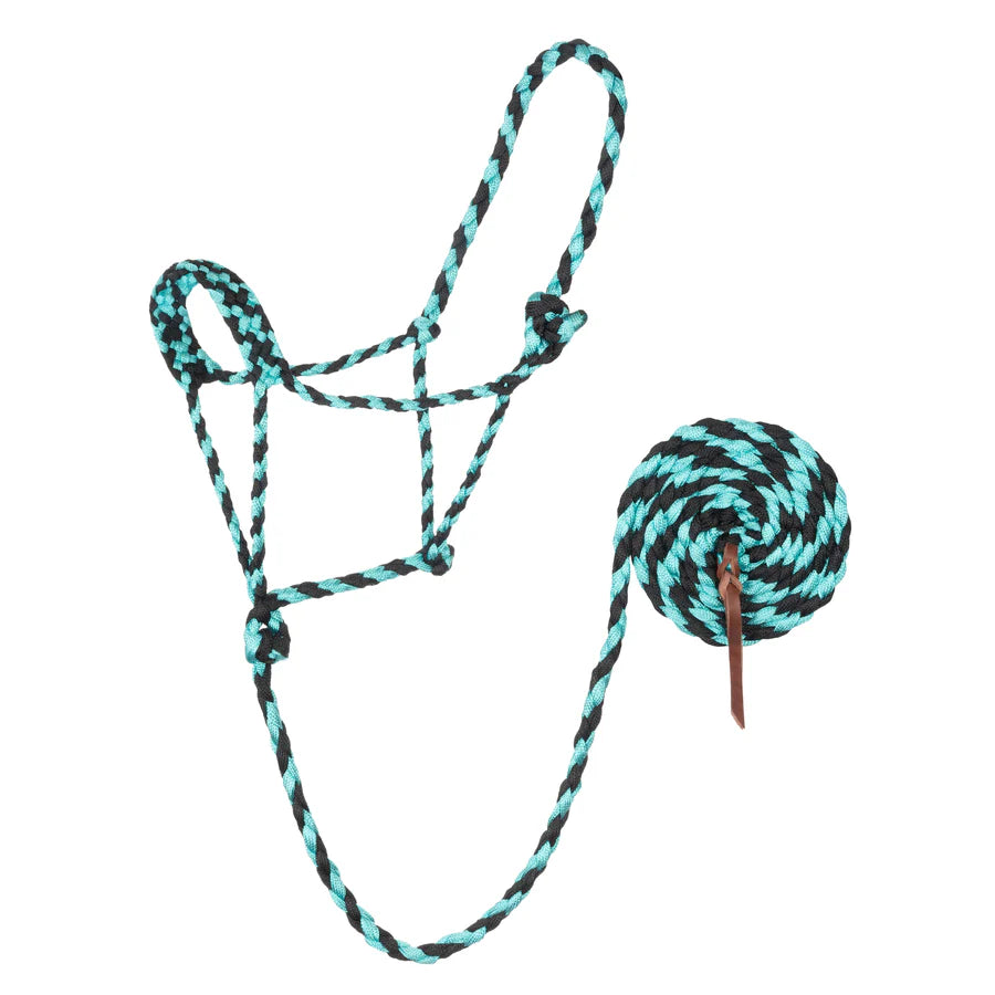 A braided rope halter for horses with a lead, turquoise and black in color, on a white background.