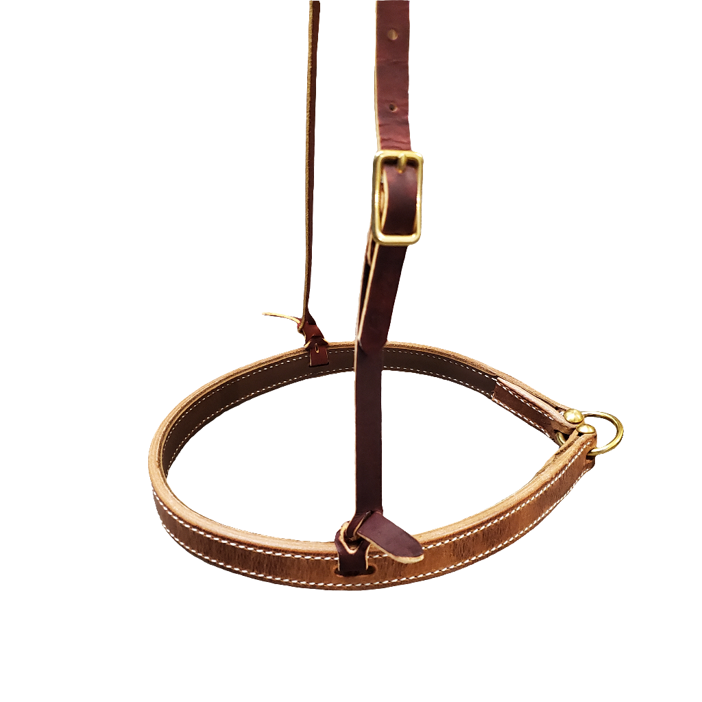A brown leather double ply nose band with brass hardware, designed for horses used in equestrian sports.