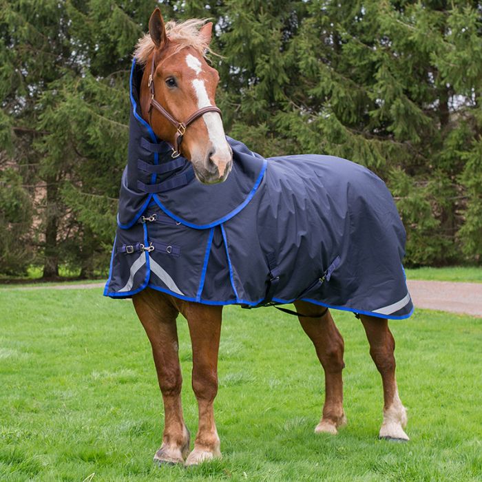 Big Fella' 300gm Draft Horse Winter Blanket by Canadian Horsewear