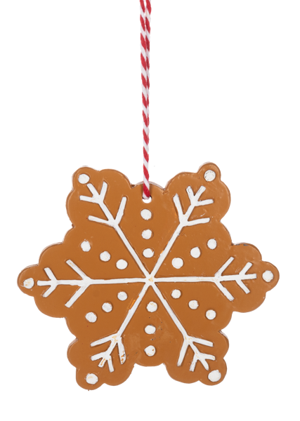Resin Snowflake Ornament by Ganz®