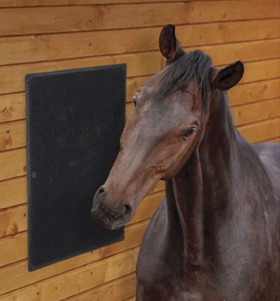 Horse standing next to a black rectangular object on a wooden wall