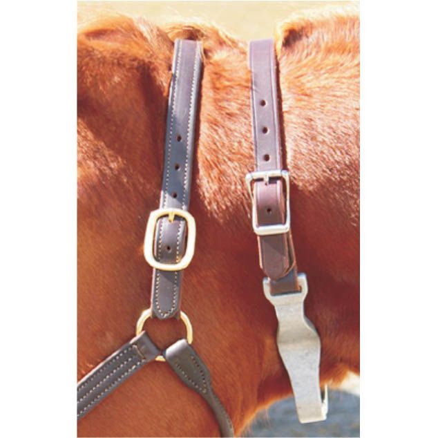 Leather Crib Collar