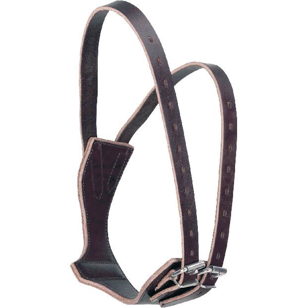 Leather Cribbing Collar - Horse & Pony Sizes