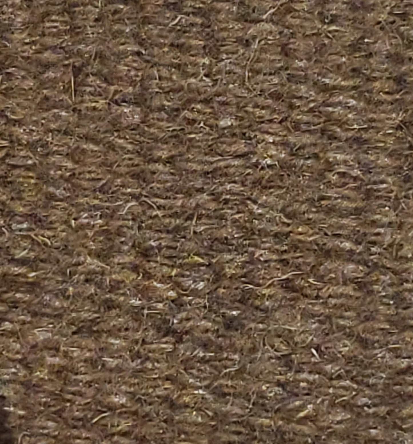 Royal Mesa New Zealand Wool Show Blanket