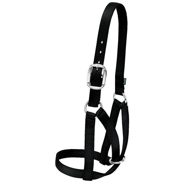 Barn Cow Halter by Weaver Livestock®
