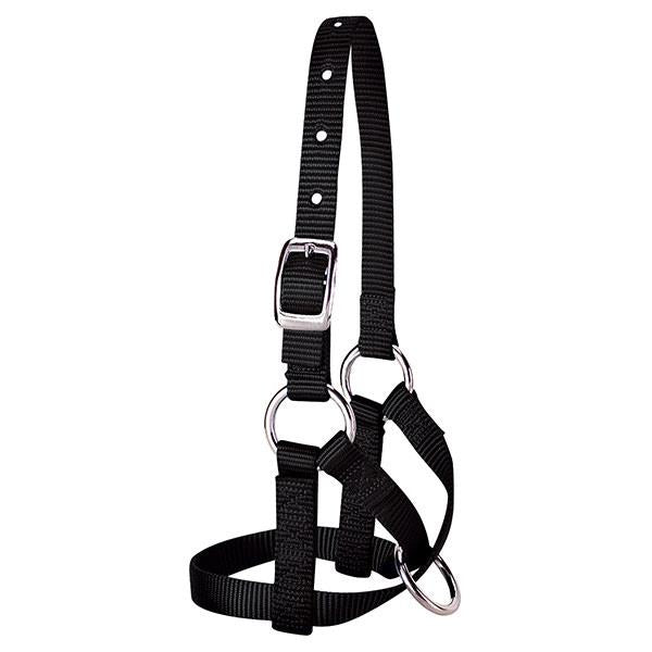 Nylon Alpaca Halter by Weaver®