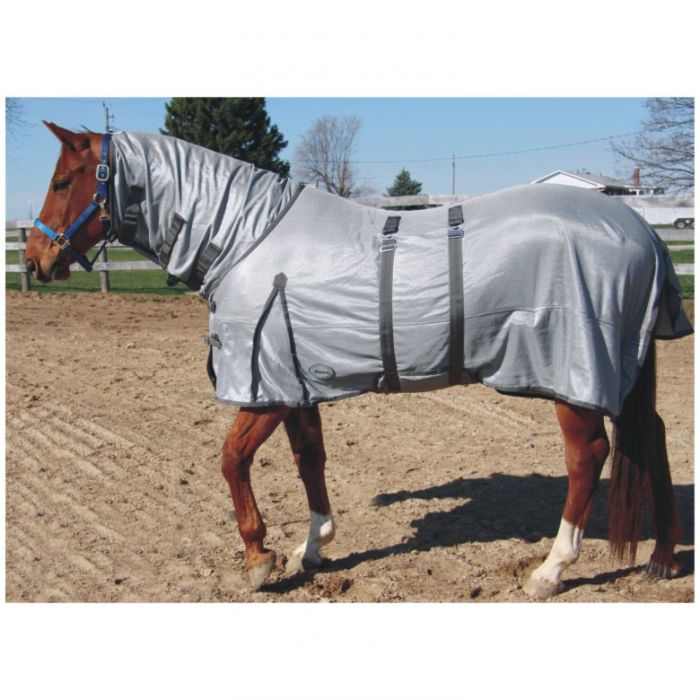 A horse wearing a grey Orien 3 Horse Fly Sheet designed to protect against flies and provide UV protection. The horse is outdoors with a fly sheet fitted on its body.