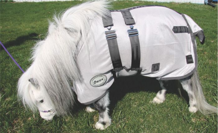 Orien 2 Foal & Mini Deluxe Fly Sheet by Canadian Horsewear Co.