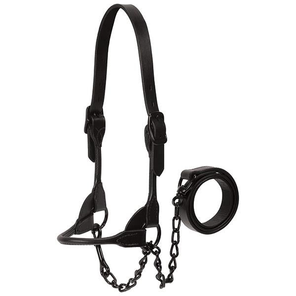 'Black Magic' Cattle Show Halter by Weaver®