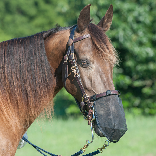 Quiet Ride Nose Net by Cashel®
