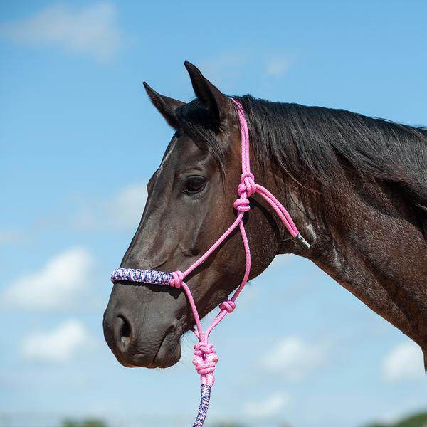 Braided Rope Nose Halter With Lead by Cashel®