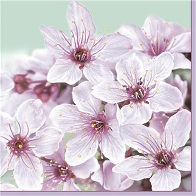 Decorative Paper Napkins