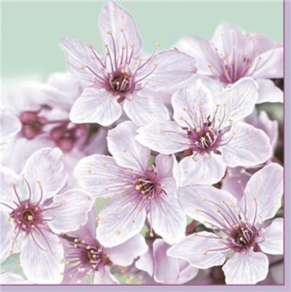 Decorative Paper Napkins