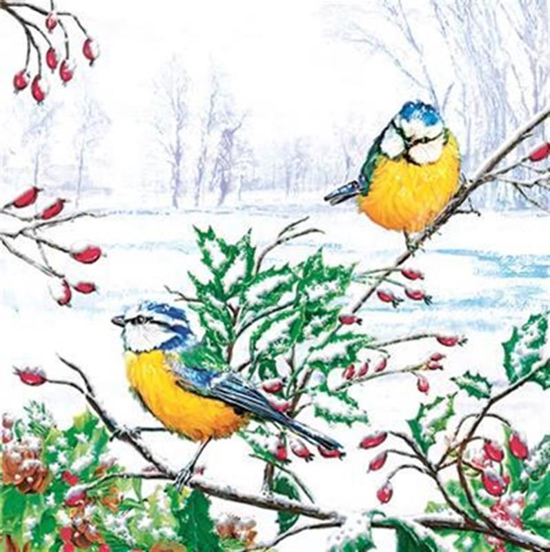 Decorative Paper Napkins