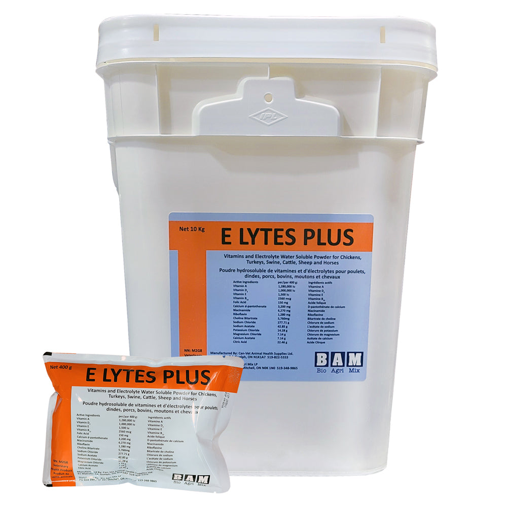 A large white plastic bucket and a small white bag of E LYTES PLUS 