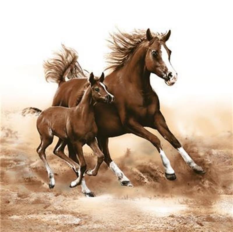 Two brown horses running on a sandy surface napkin.