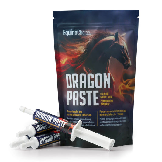 a bag of equine choice dragon paste with an image of a horse emerging from flames and 4 tubes of the dragon paste on a white background