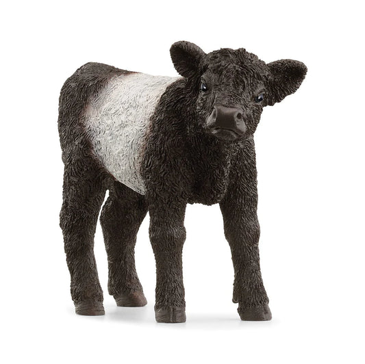 Galloway Calf Figurine by Schleich®