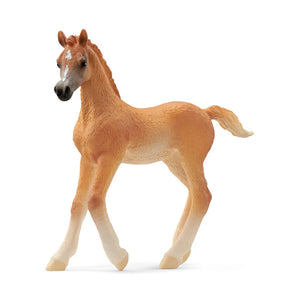 Arabian Foal Figurine by Schleich®