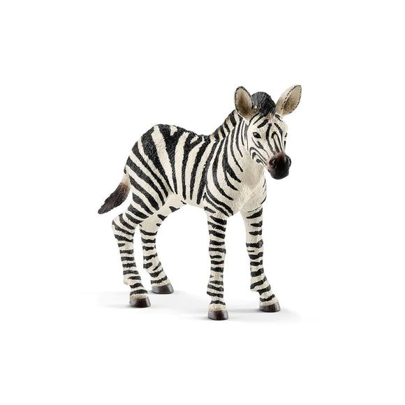 Zebra Foal Figurine by Schleich®