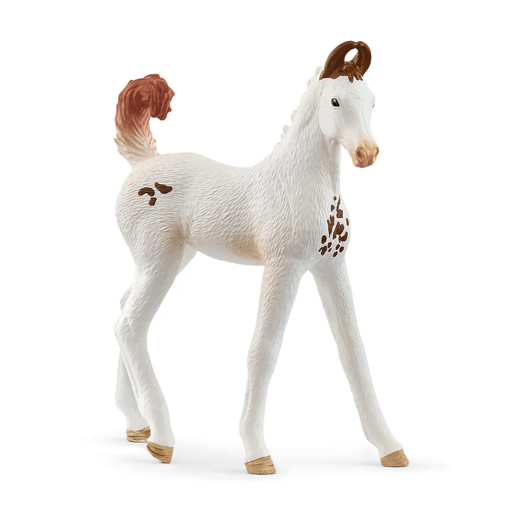Marwari Foal Figurine by Schleich®