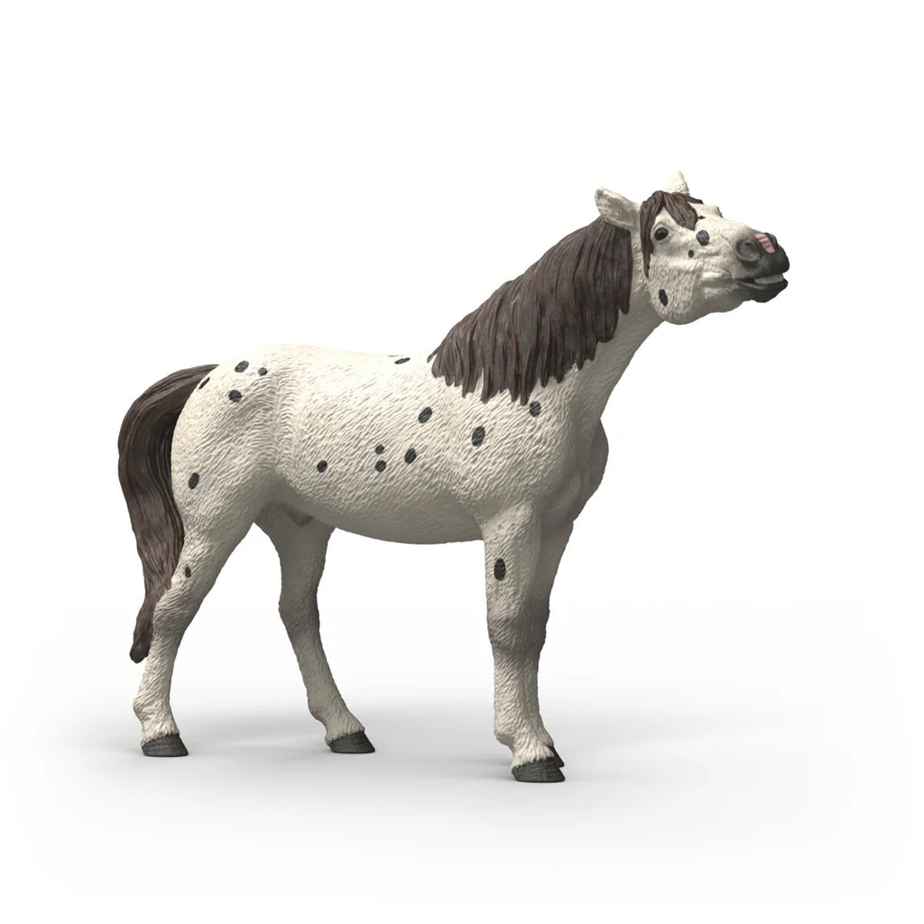 Knabstrupper gelding figurine from Schleich on a white background