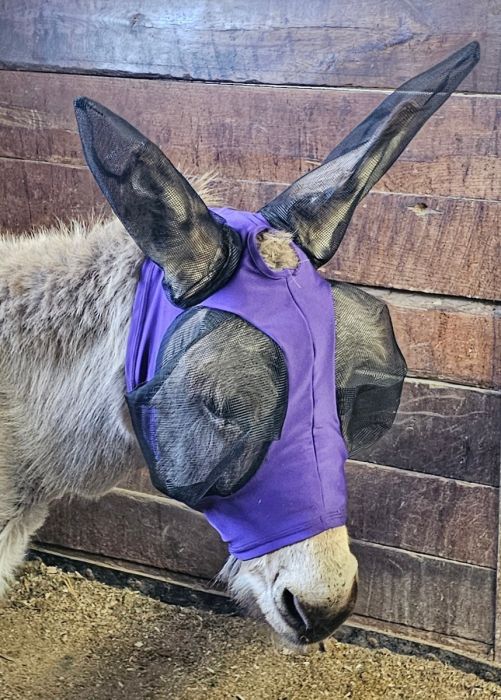 Mule or Donkey Lycra Fly Mask by Canadian Horsewear®