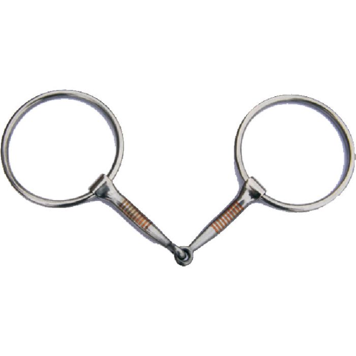 Metal Ger-Ryan bridle bit on a white background