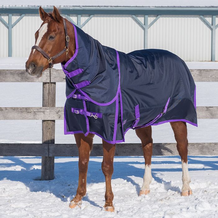 Regal 'Diablo' 300gm  Winter Blanket by Canadian Horsewear Co.®