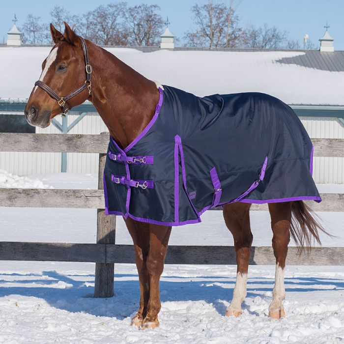 Regal 'Diablo' 300gm  Winter Blanket by Canadian Horsewear Co.®