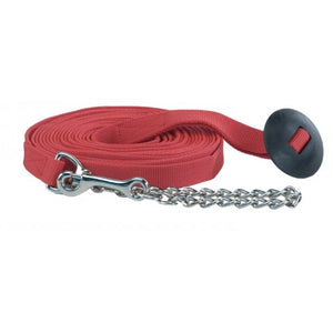 Flat Nylon 25' Lunge Line With Chain