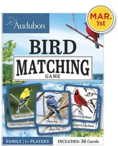 Audubon™ Bird Matching Game by Master Pieces®