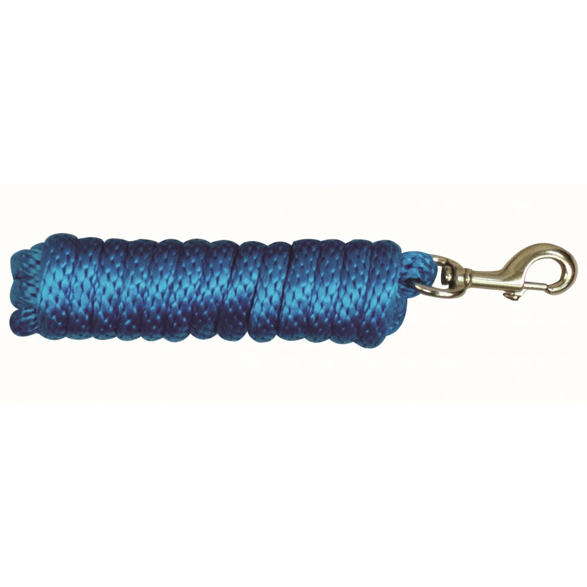 turquoise lead rope with a brass bolt snap