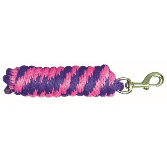 purple and pink lead rope with a brass bolt snap