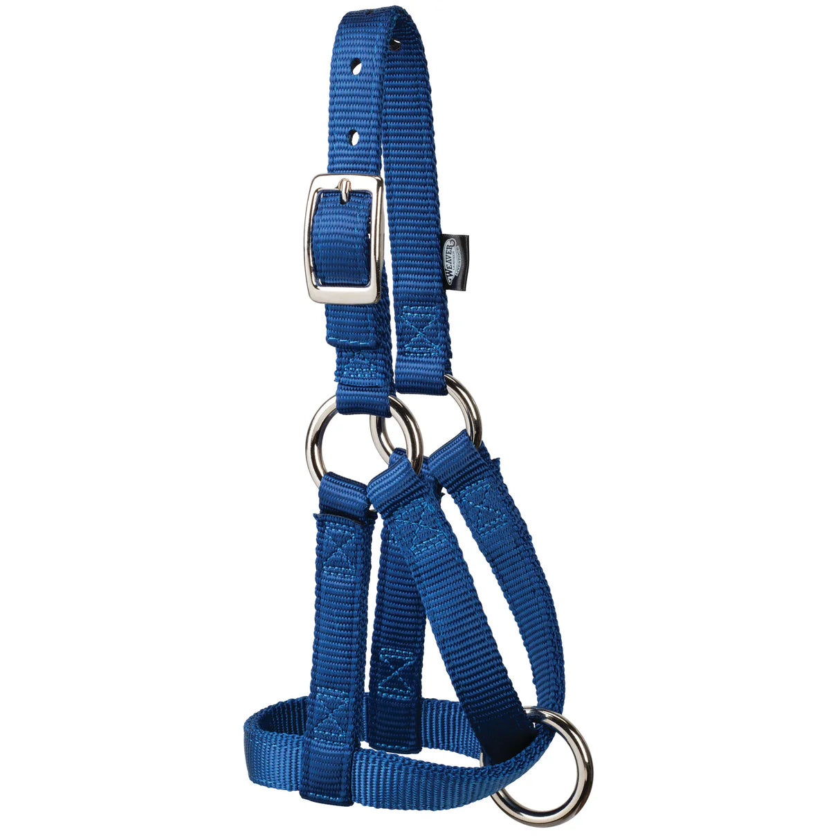 navy halter with metal buckles for goats on a white background