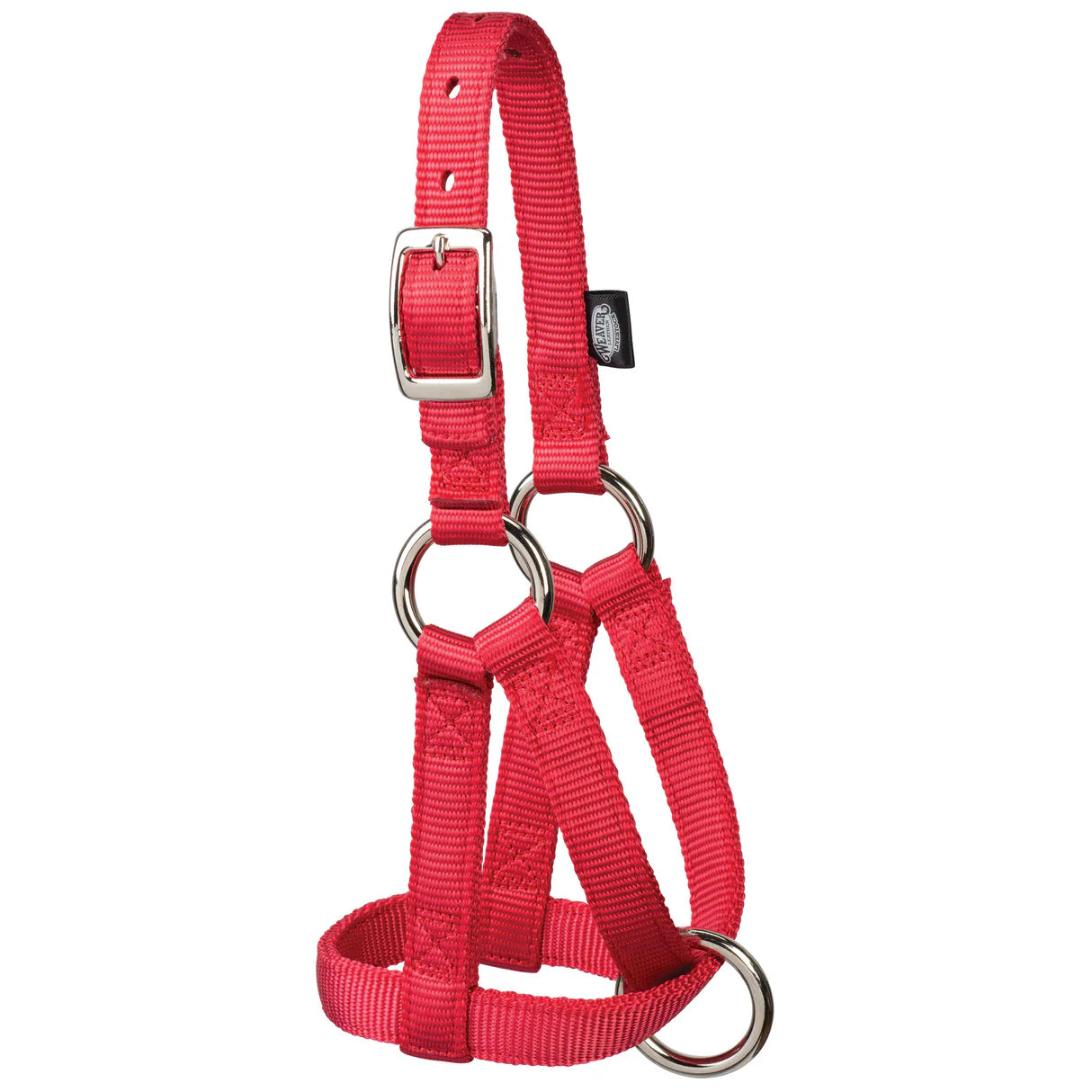Pink halter with metal buckles for goats on a white background
